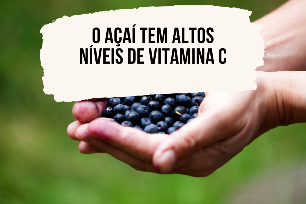 curiosidade sobre o açaí