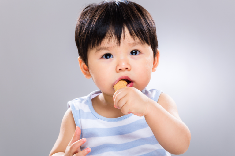 receitas de lanche para bebes e para lancheira